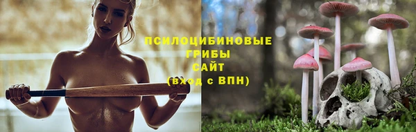 шишки Балахна