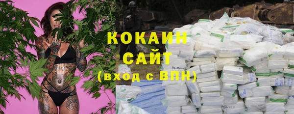 шишки Балахна