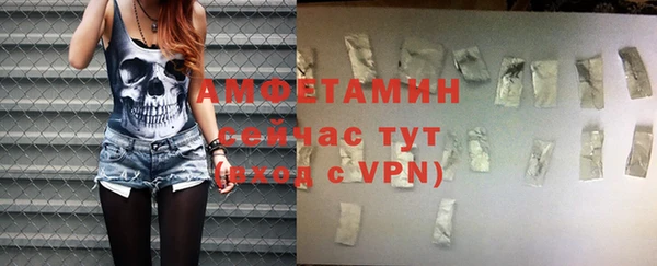 индика Семикаракорск