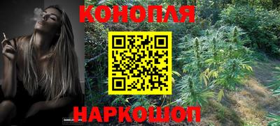 спайс Гусь-Хрустальный