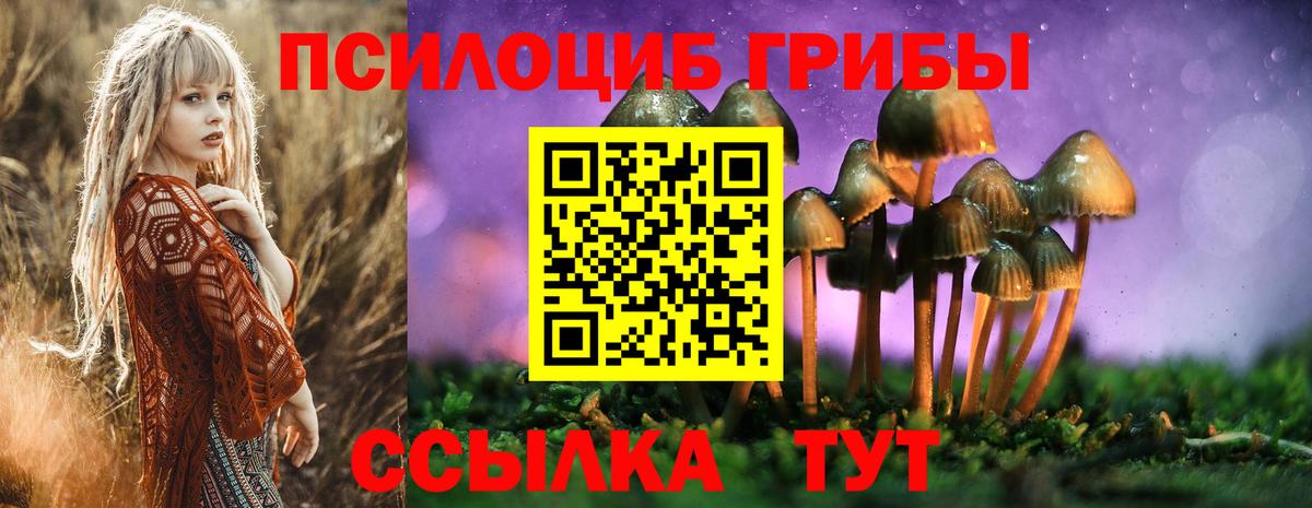 Галлюциногенные грибы Cubensis Обь