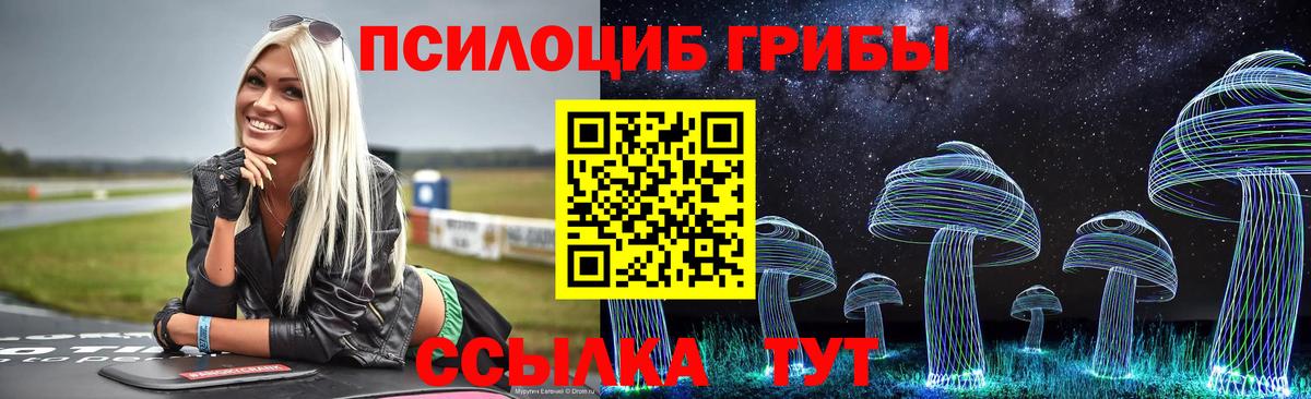 Псилоцибиновые грибы Psilocybe  Галлюциногенные грибы Cubensis  Обь  Вход с VPN 